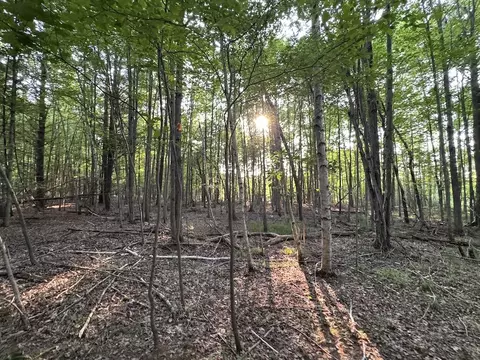 Whitney, Beaverton, MI 48612 photo 94