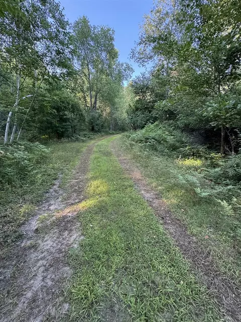 Whitney, Beaverton, MI 48612 photo 63