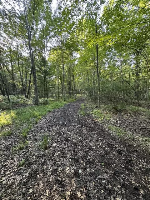 Whitney, Beaverton, MI 48612 photo 9