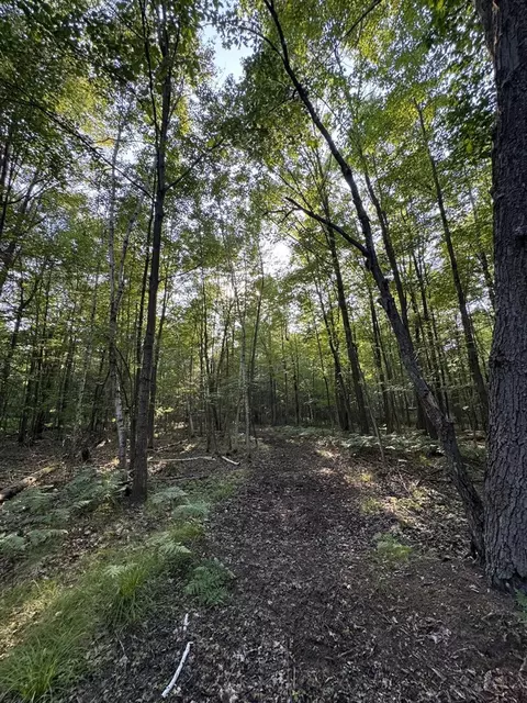 Whitney, Beaverton, MI 48612 photo 44