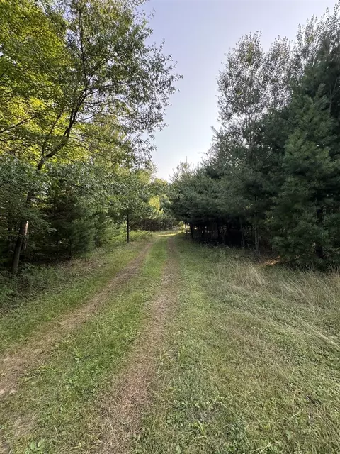 Whitney, Beaverton, MI 48612 photo 85