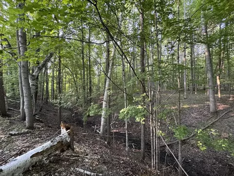 Whitney, Beaverton, MI 48612 photo 66