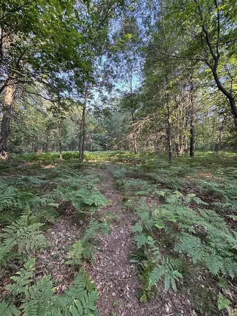 Whitney, Beaverton, MI 48612 photo 8