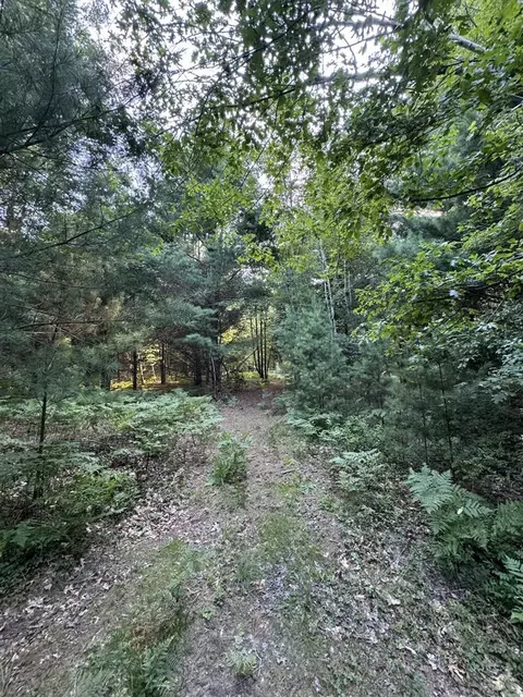 Whitney, Beaverton, MI 48612 photo 41