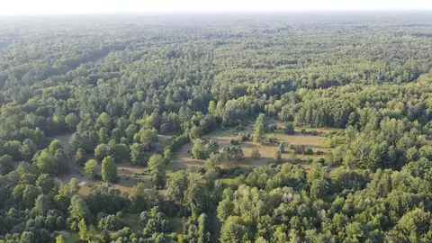 Whitney, Beaverton, MI 48612 photo 27