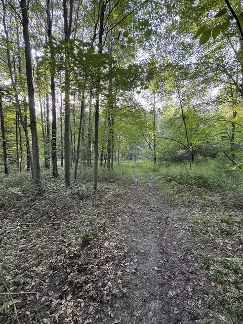 Whitney, Beaverton, MI 48612 photo 61