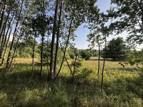 Whitney, Beaverton, MI 48612 photo 74