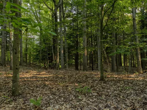 Parcel 2 E Arthur, Rothbury, MI 49452 photo 5