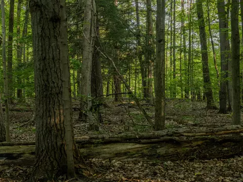 Parcel 2 E Arthur, Rothbury, MI 49452 photo 6