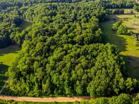 Parcel 2 E Arthur, Rothbury, MI 49452 photo 9