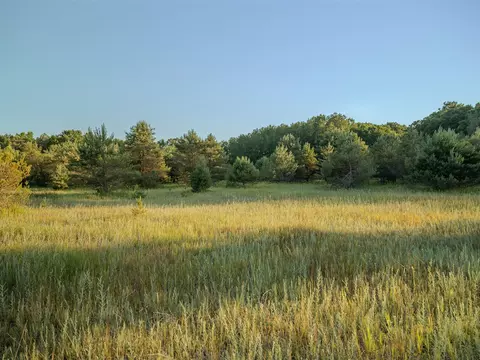 Parcel 4 E Arthur, Rothbury, MI 49452 photo 6
