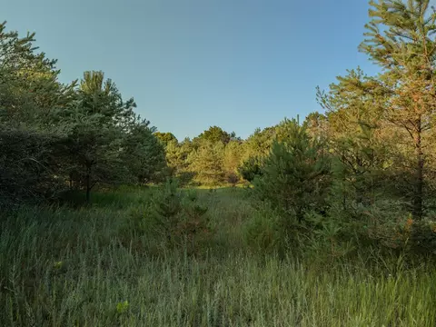 Parcel 4 E Arthur, Rothbury, MI 49452 photo 7