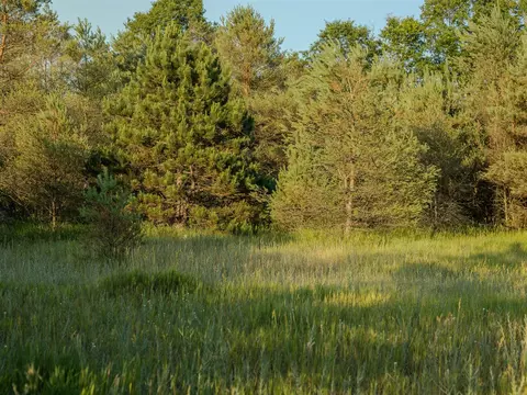 Parcel 4 E Arthur, Rothbury, MI 49452 photo 8