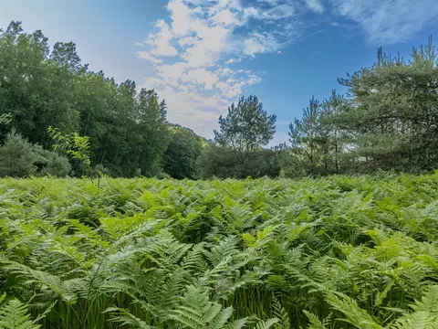 Parcel 4 E Arthur, Rothbury, MI 49452 photo 2