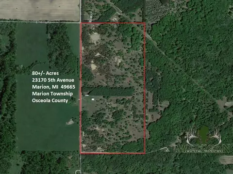 23170 N 5th Ave, Marion, MI 49665