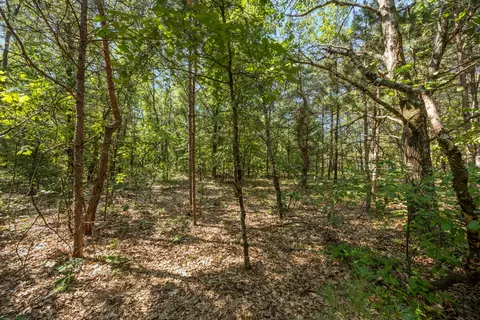 2512 E 88, Newaygo, MI 49337 photo 4