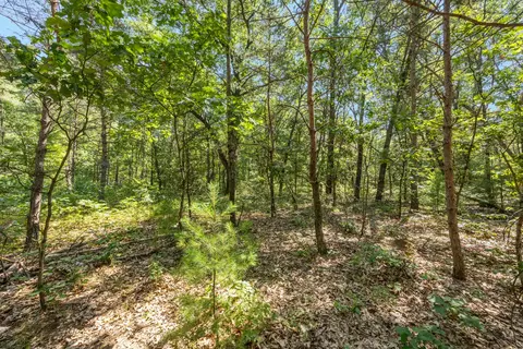 2512 E 88, Newaygo, MI 49337 photo 5