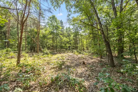 2512 E 88, Newaygo, MI 49337 photo 6