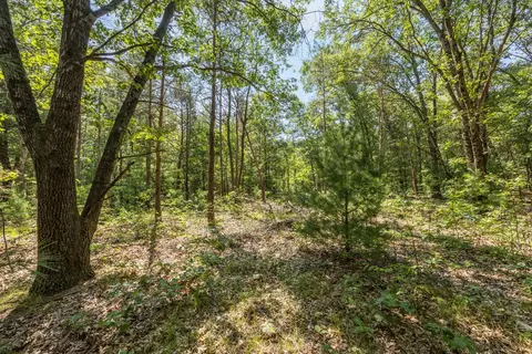 2512 E 88, Newaygo, MI 49337 photo 7