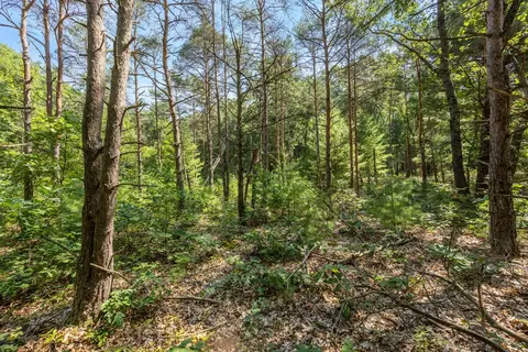 2512 E 88, Newaygo, MI 49337 photo 8