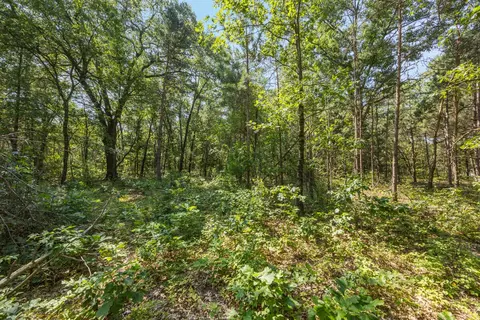 2512 E 88, Newaygo, MI 49337 photo 3