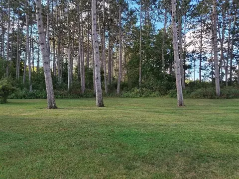 Exterior - 8162 River, Evart, MI 49631 photo 3 of 4