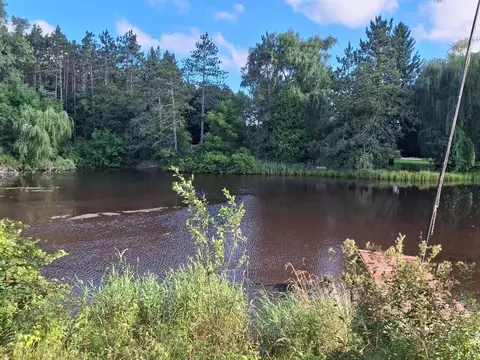 View/Area - 8162 River, Evart, MI 49631 photo 1 of 1