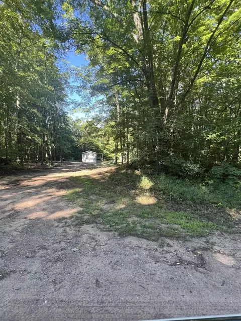 4464 Leckrone, Brethren, MI 49619 photo 4