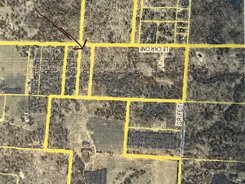 4464 Leckrone, Brethren, MI 49619 photo 22