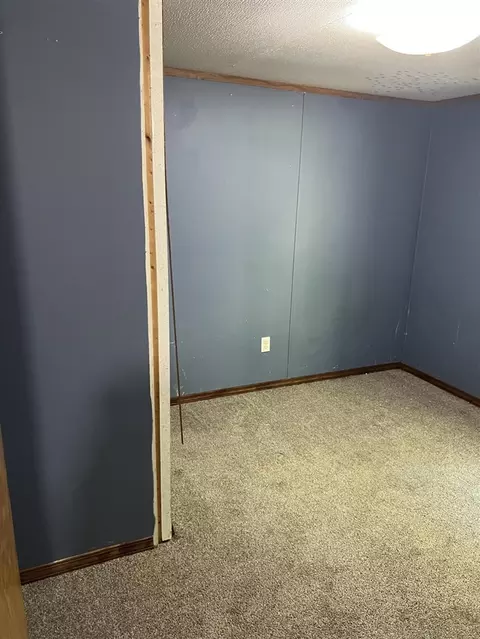 4464 Leckrone, Brethren, MI 49619 photo 13