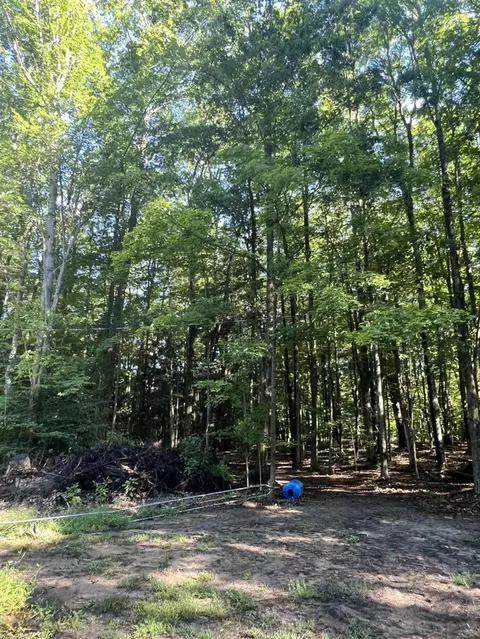4464 Leckrone, Brethren, MI 49619 photo 18