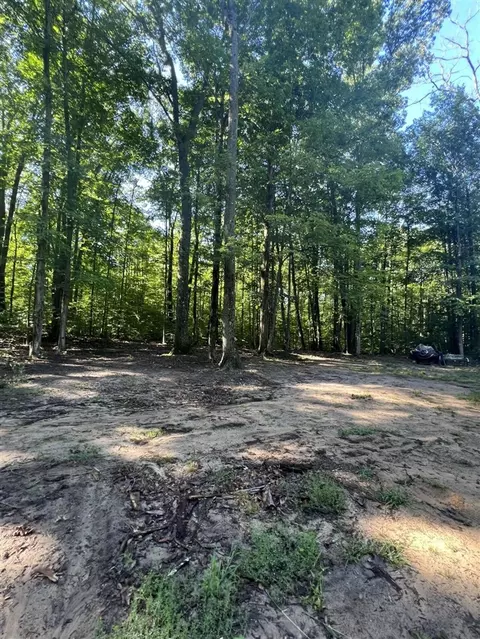 4464 Leckrone, Brethren, MI 49619 photo 19