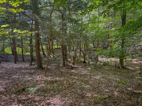 V/l 5a Pine, Mears, MI 49436 photo 13
