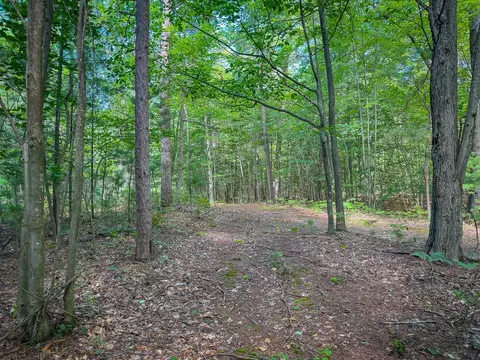 V/l 5a Pine, Mears, MI 49436 photo 7