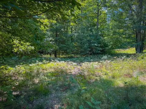 V/l 5a Pine, Mears, MI 49436 photo 8