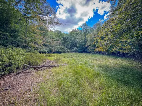 V/l 5a Pine, Mears, MI 49436 photo 14