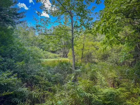 V/l 5a Pine, Mears, MI 49436 photo 16