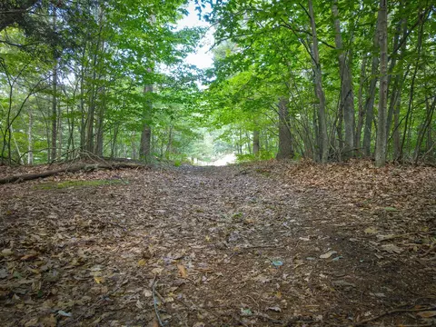 V/l 5a Pine, Mears, MI 49436 photo 5