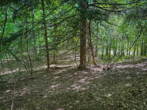 V/l 5a Pine, Mears, MI 49436 photo 11
