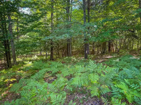 V/l 5a Pine, Mears, MI 49436 photo 10