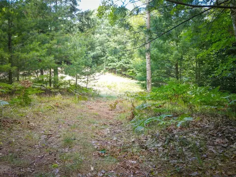 V/l 5a Pine, Mears, MI 49436 photo 6