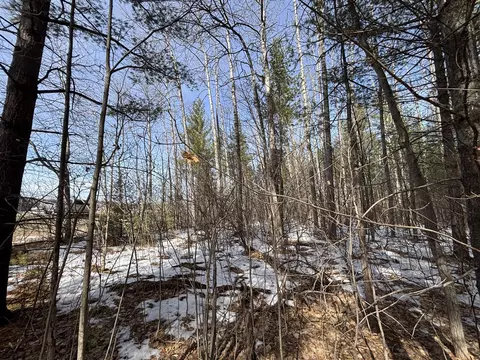 V/l 7.12a N Abbe, Comins, MI 48619 photo 9