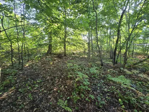 Vl Oaklea, Muskegon, MI 49442
