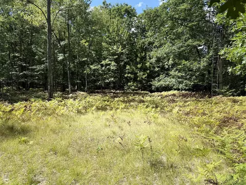 0 5 Mile, Hesperia, MI 49421