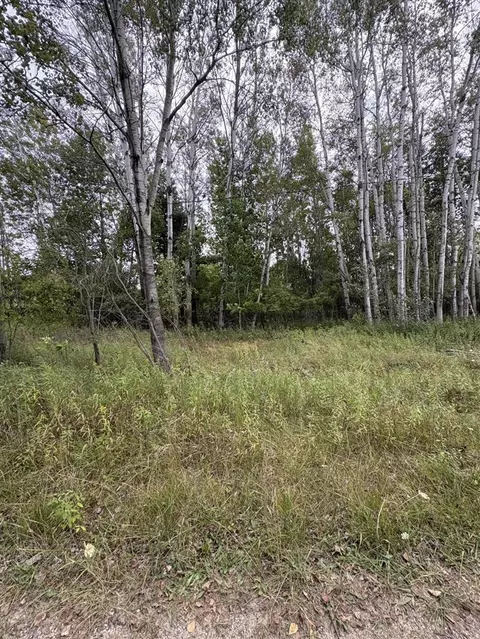 coocpa- lake miramachi LOT S 455, Evart, MI 49631