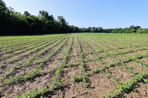 Vl Tucker Rd Lot #wp001, Eaton Rapids, MI 48827