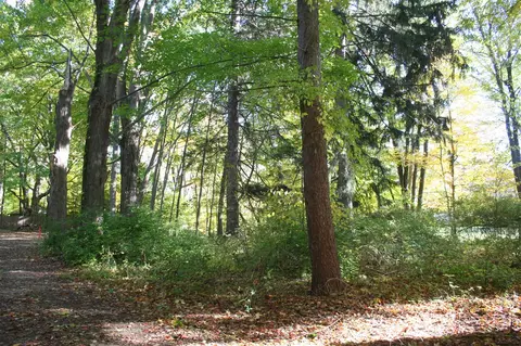 246 Webster, South Haven, MI 49090