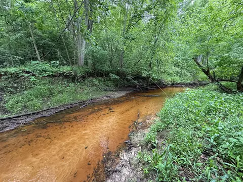 V/l75 Short, Sanford, MI 48657