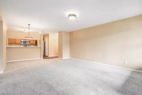 Living - 352 Butler, Marshall, MI 49068 photo 4 of 5