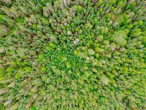 V/L Us-02 Highway #1, Gould City, MI 49838